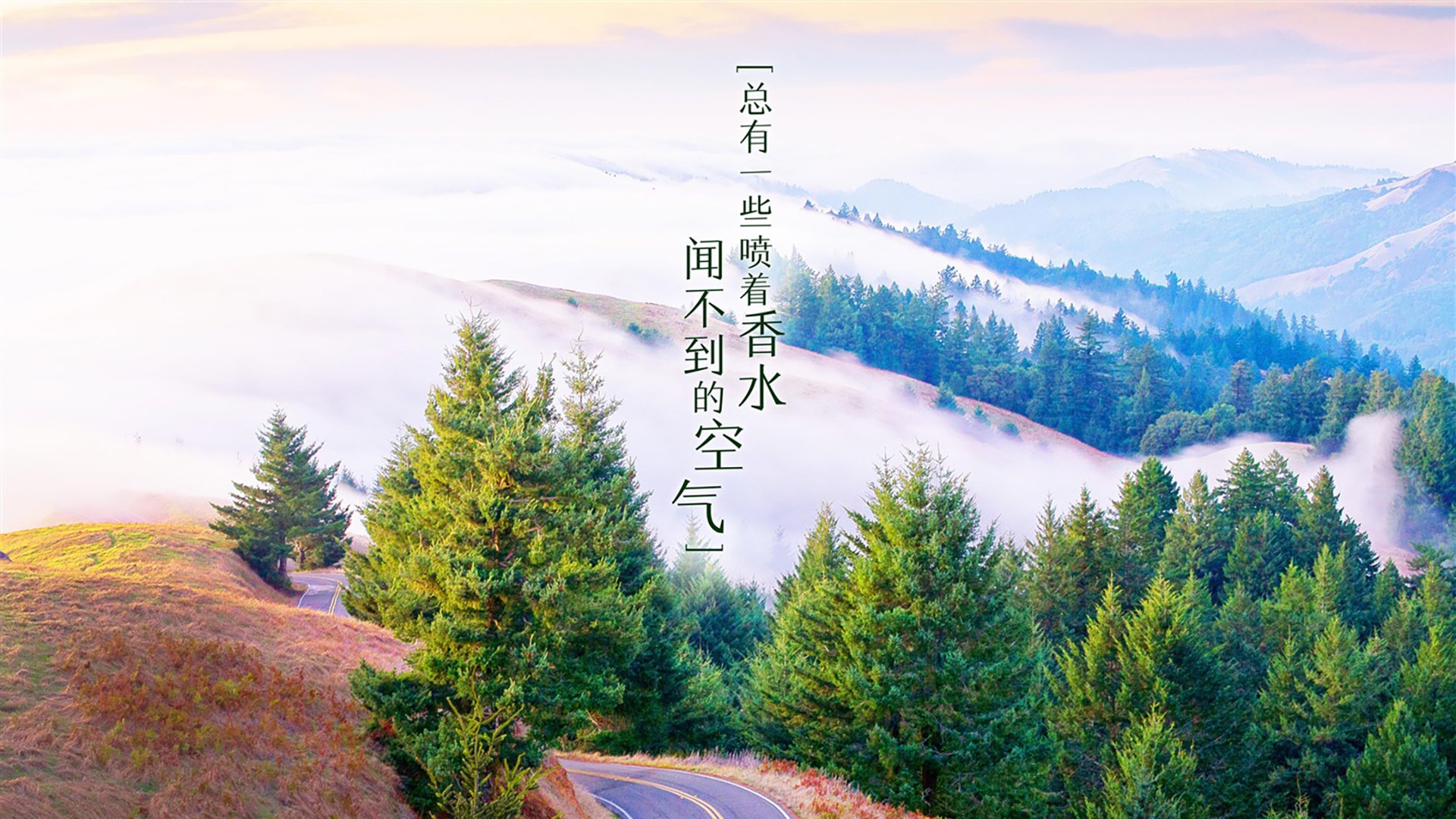 体育赛事参与对城市形象建设的促进作用，体育赛事举办对城市的影响