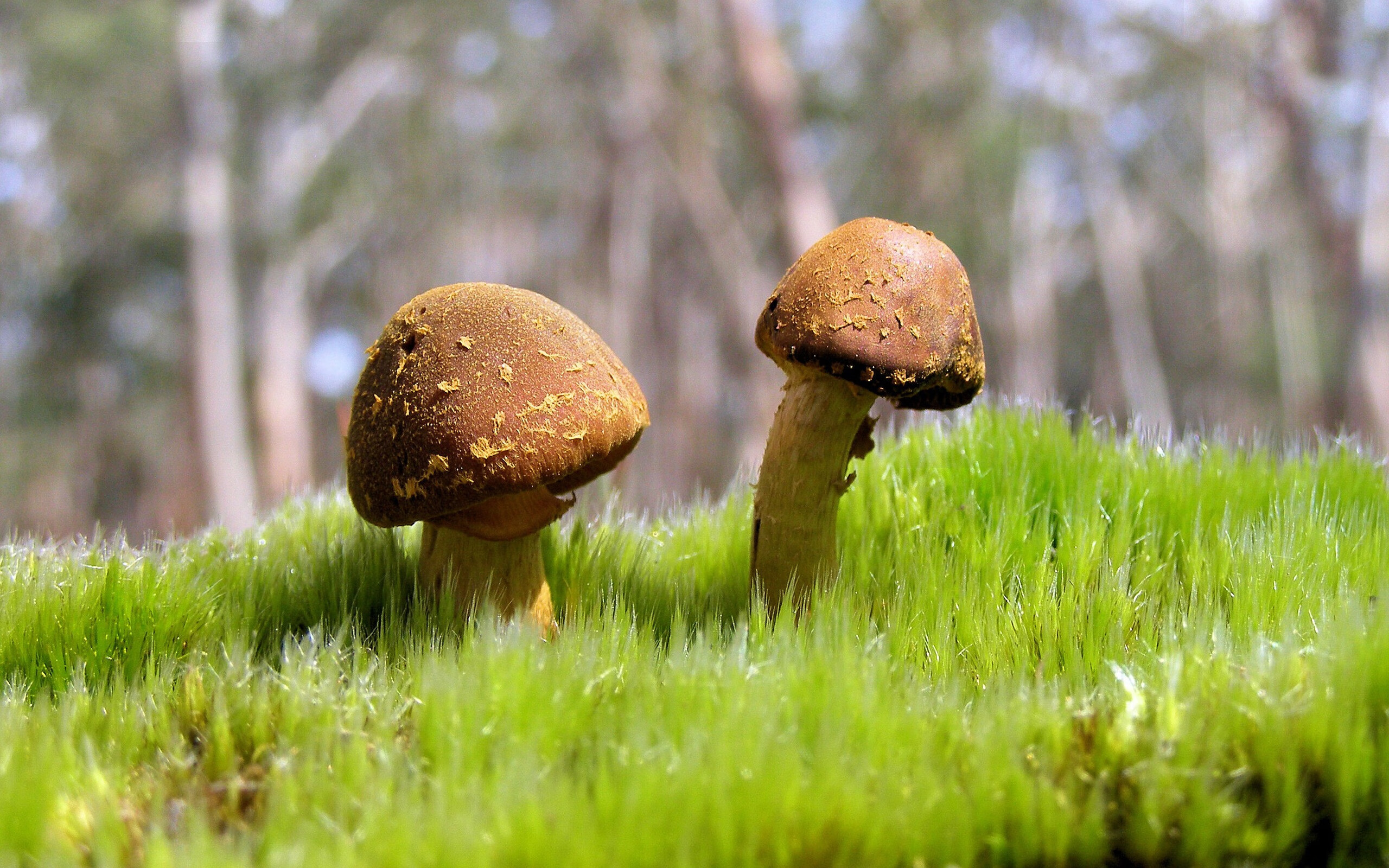 华体会在线登录-转会市场数据：盘点最受关注的潜力巨星，2021转会市场最新动态
