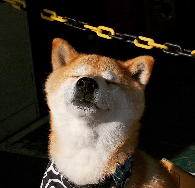 高校体育专业发展趋势分析,高校体育工作发展规划