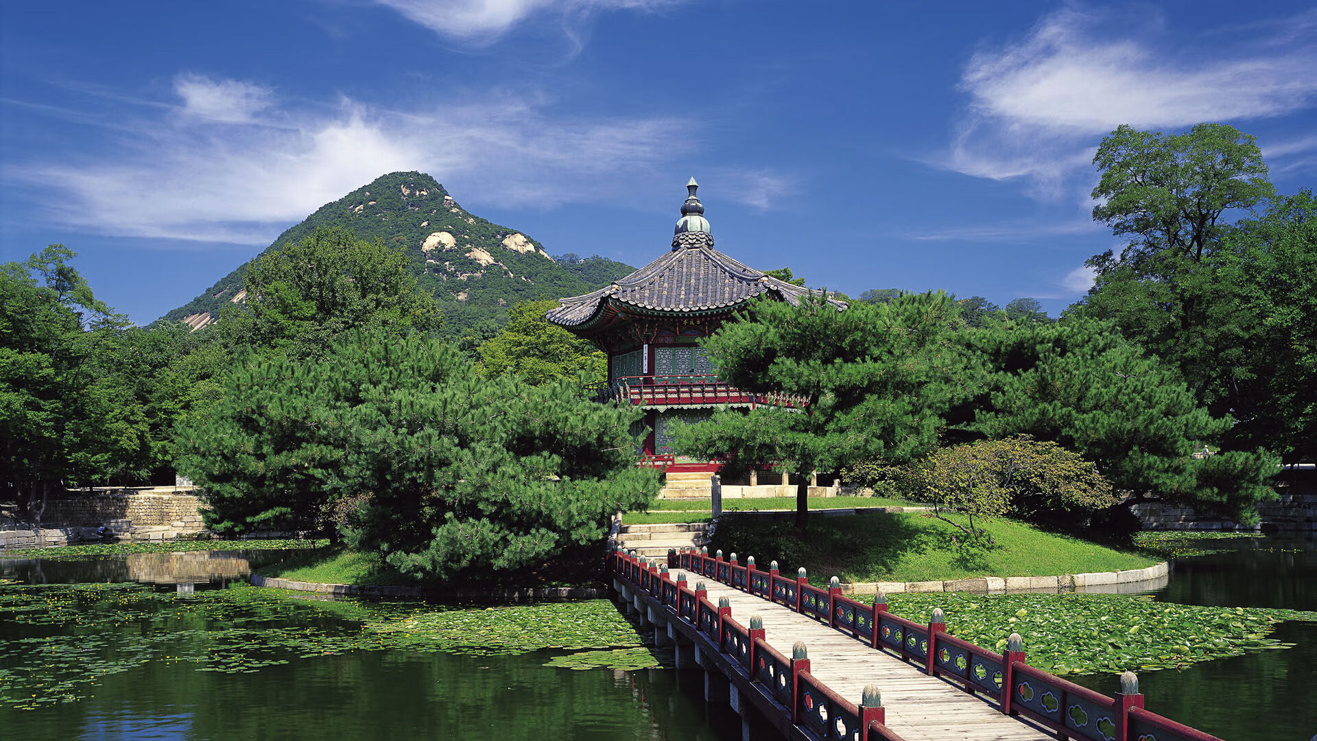 全国青少年花样滑冰邀请赛在哈尔滨举行,世界青少年花样滑冰锦标赛几年一次