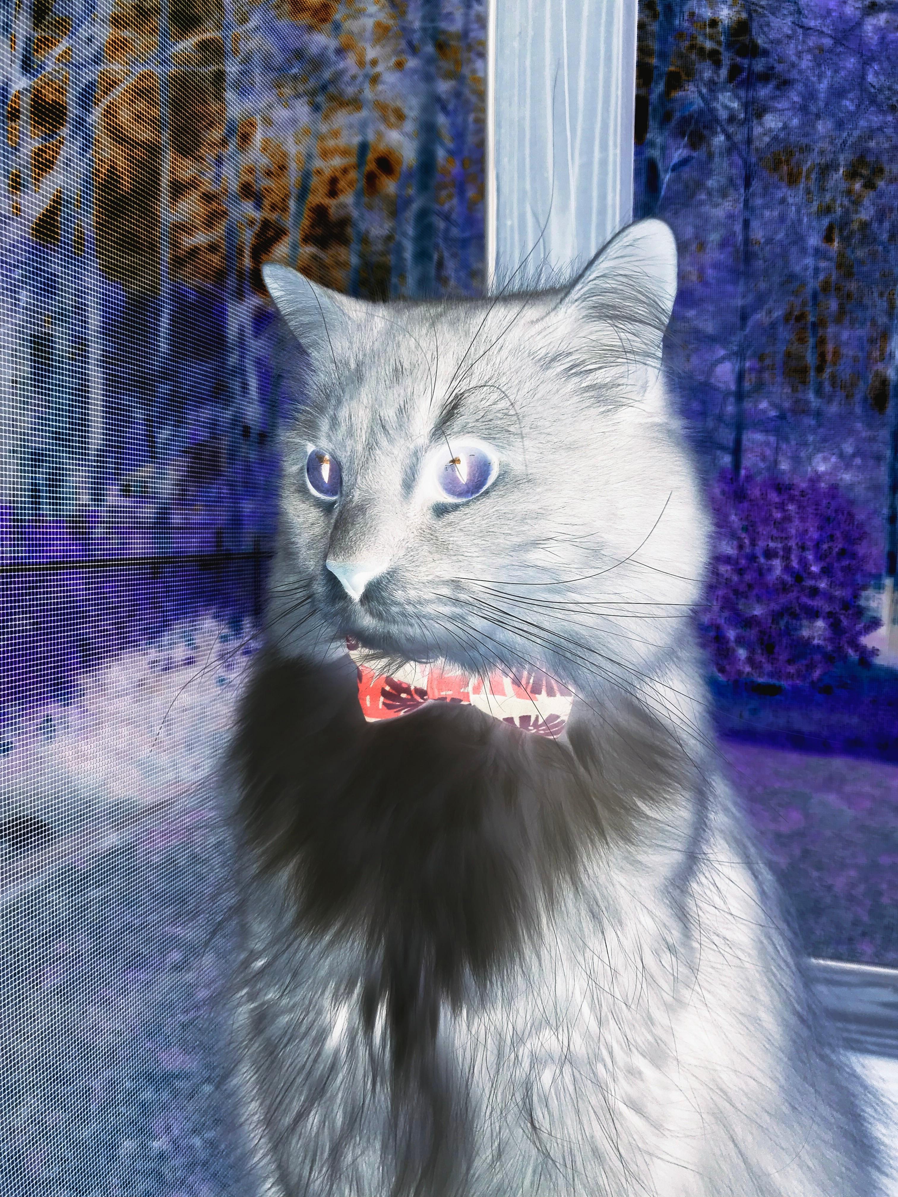 冰球训练班设置新手快速适应课程体系,冰球训练营策划方案