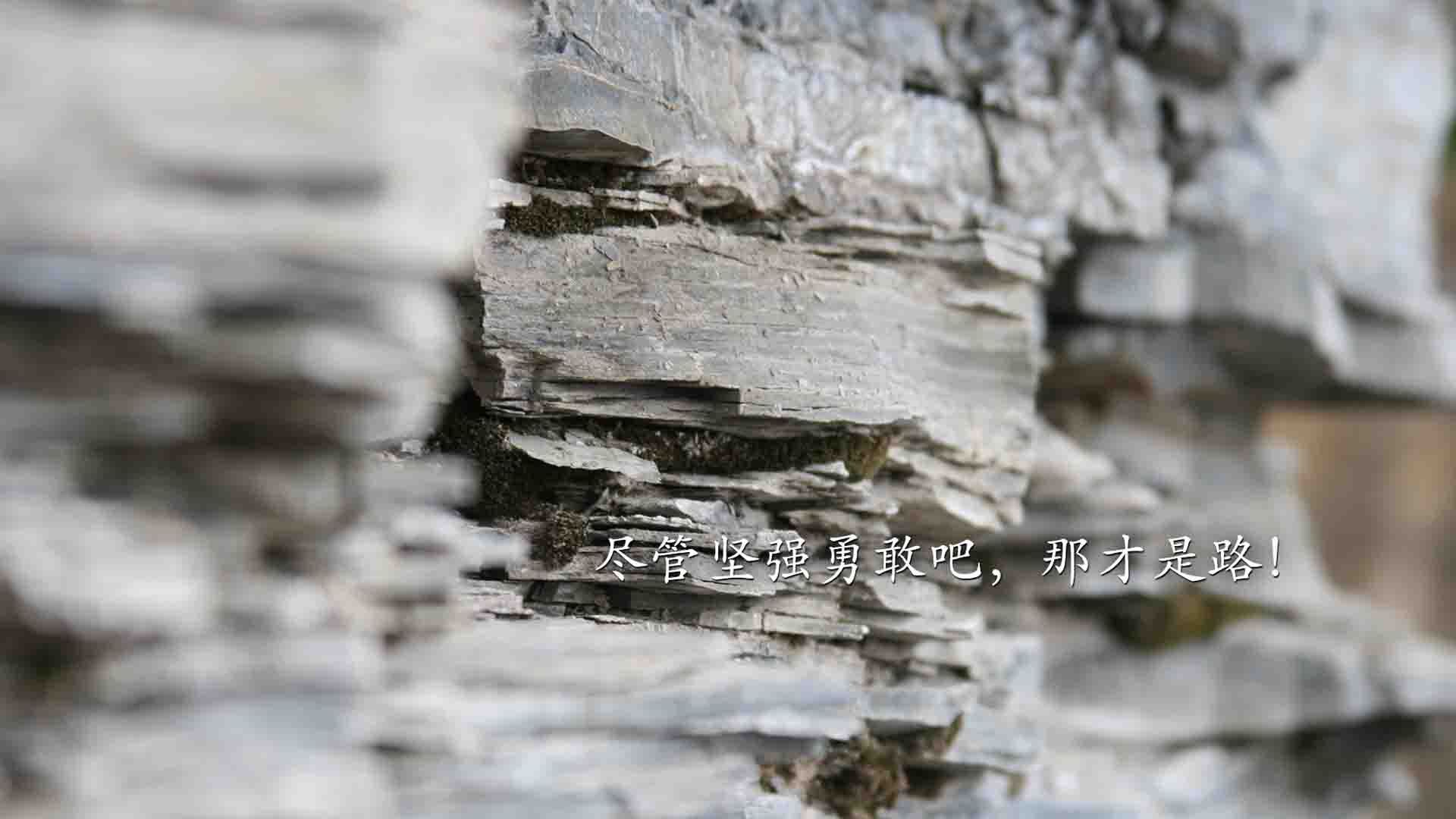 博卡目标:三年内重返南美之巅,博卡是哪个公司的