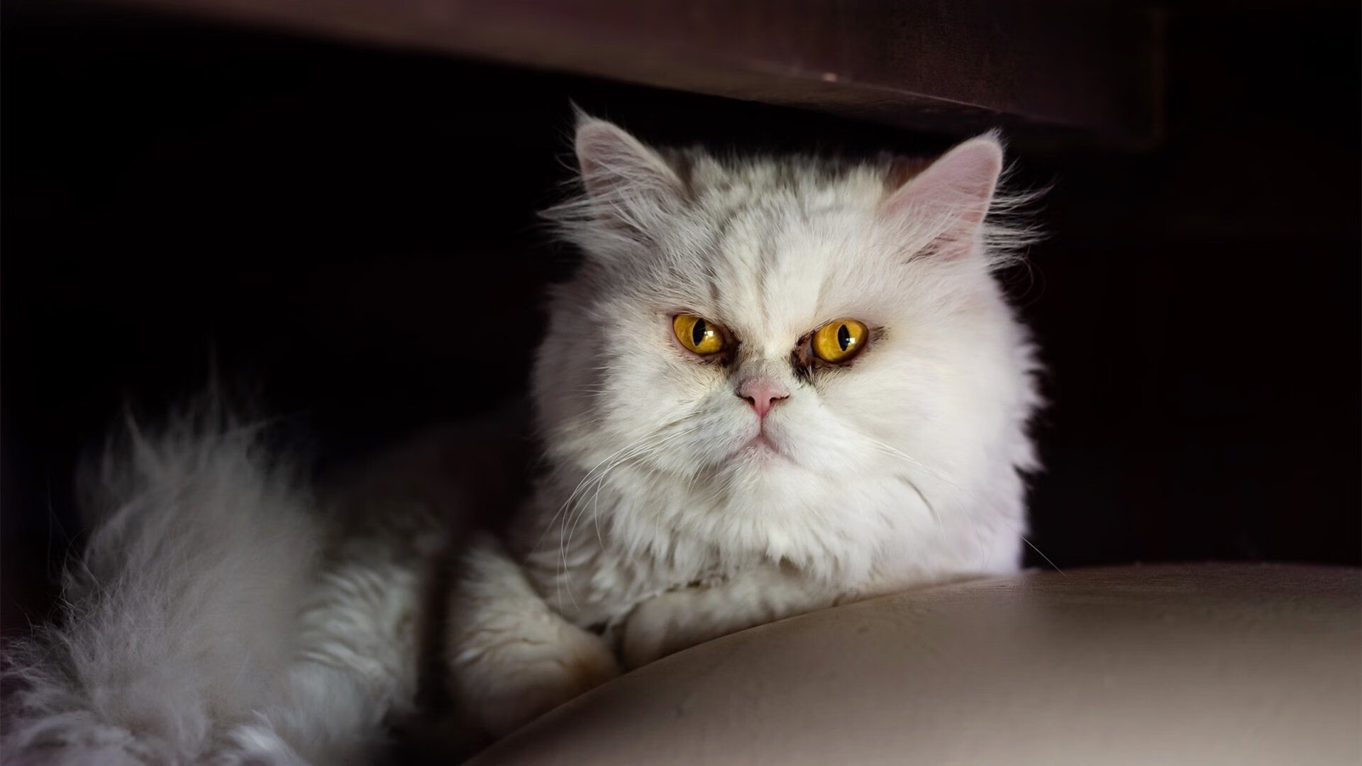 国家队整体战斗力提升难点,国家队战斗姿势