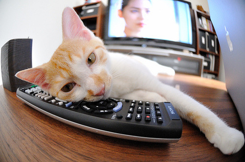 心理节奏控制能力最强的控卫观察,控制心理是什么