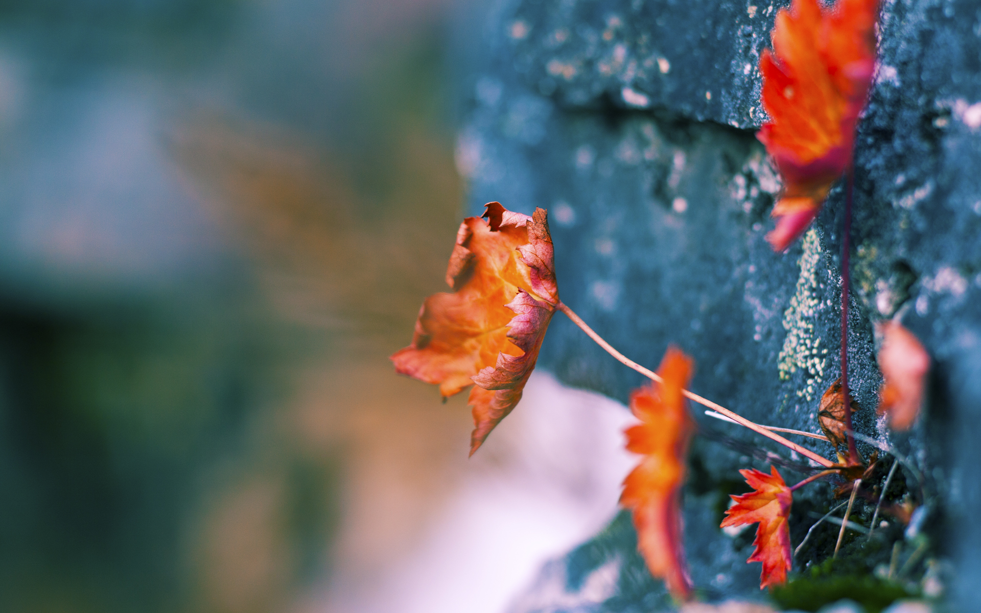 拜仁精准传控提高进攻成功率,拜仁控球