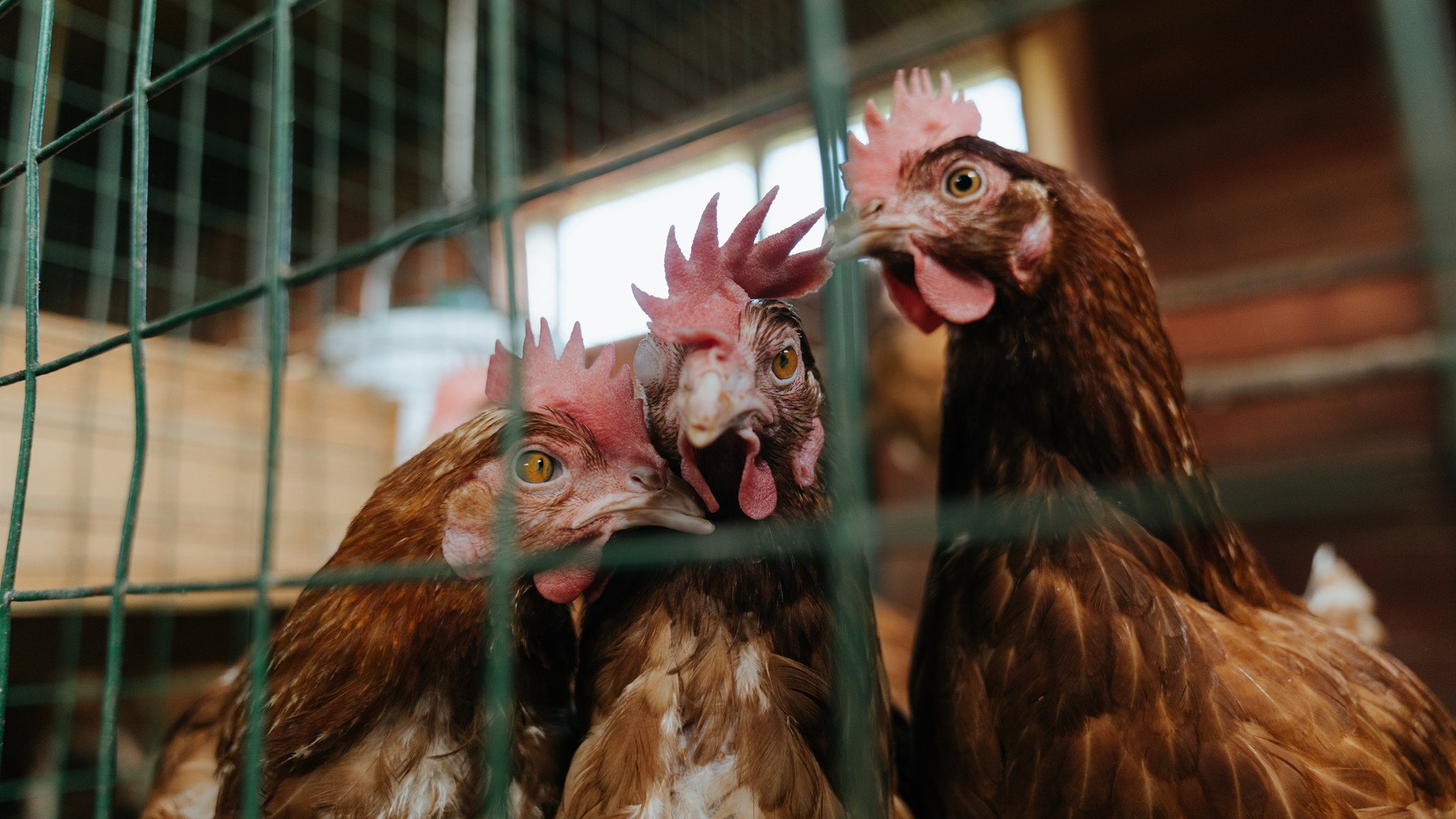 热门解析谁才是网坛下一位王者,网坛一姐是谁