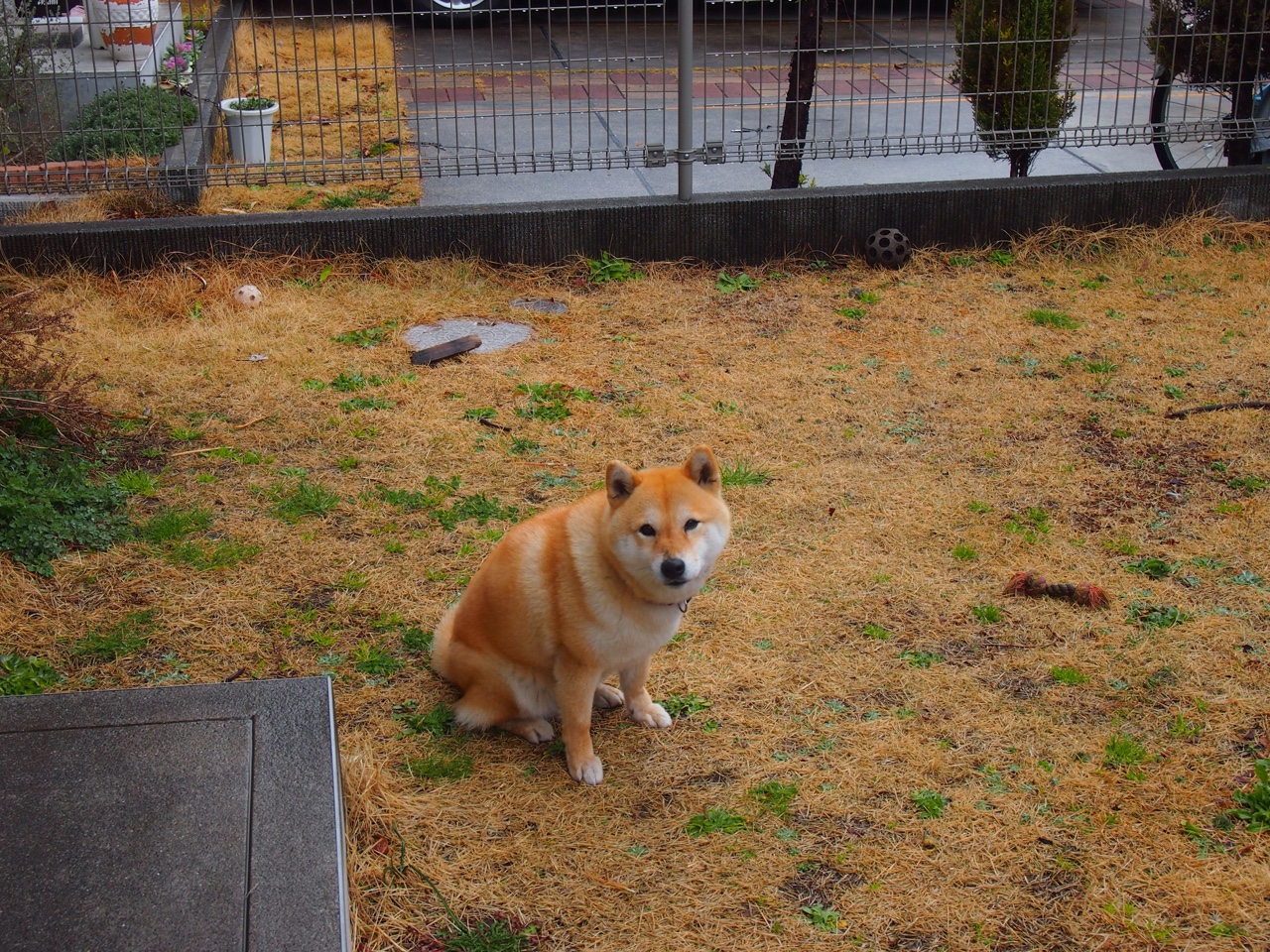 华体会官网-美国队赛制解析：如何通过团体赛制提升整体战术水平，美国参赛队伍