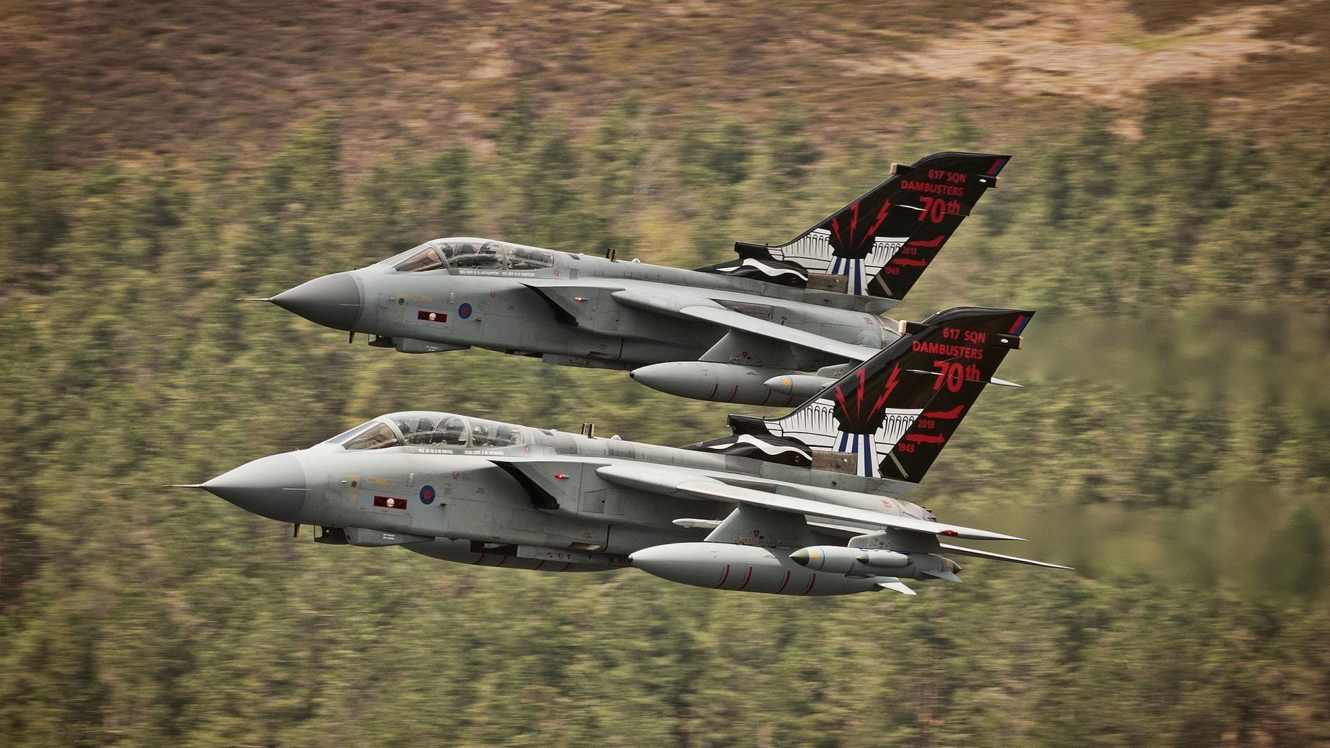 -CBA设立主场最佳球迷奖项激励观众参与热情，cba主场怎么安排的