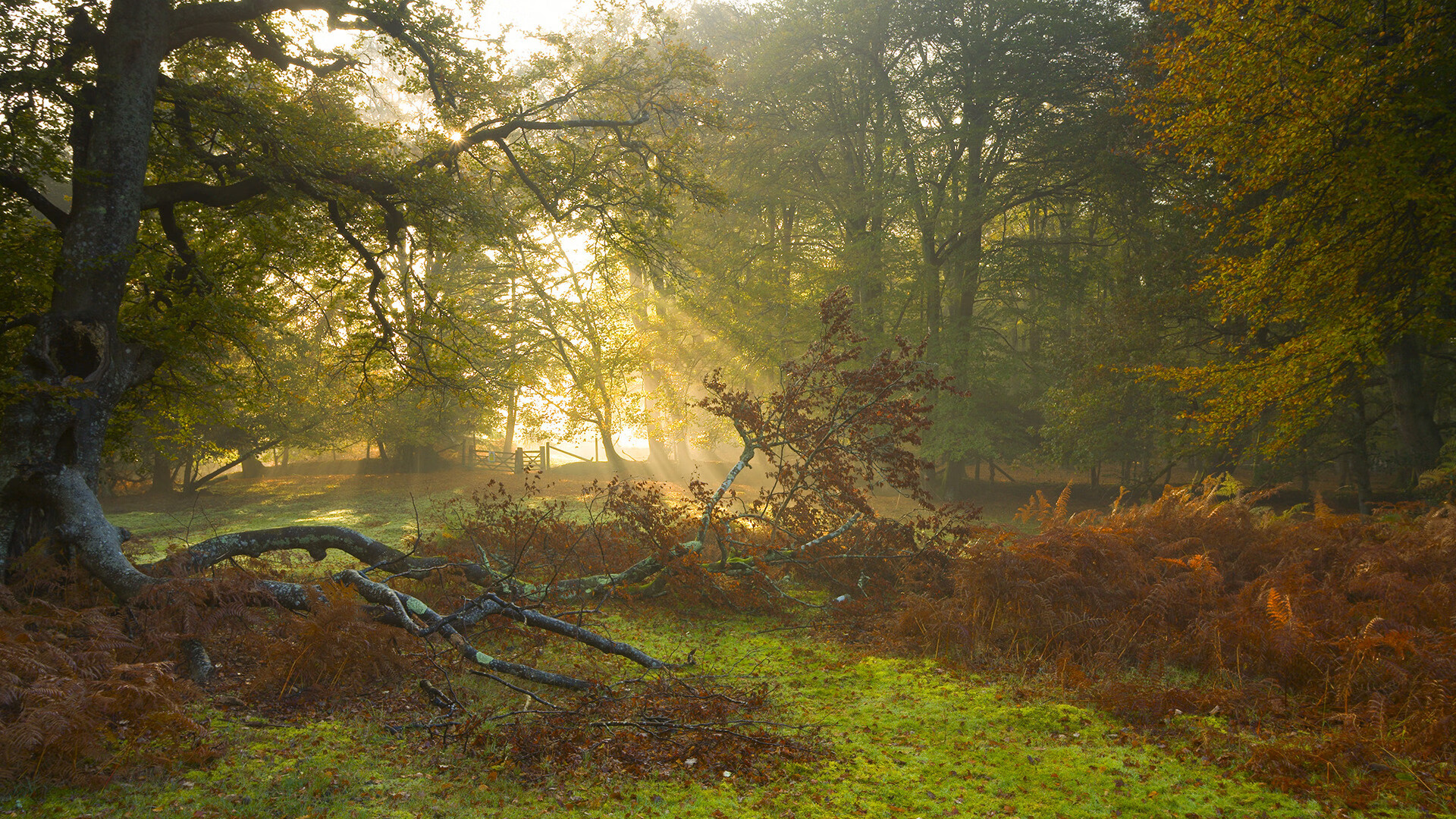 世界杯关键战:瞬间决定晋级命运的争夺,世界杯关机