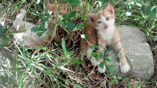 世界杯激情夜:激动人心的逆转!,最激烈的世界杯比赛