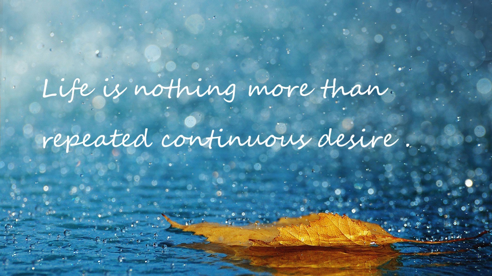 体育文化节活动盛况,体育文化节活动盛况怎么写