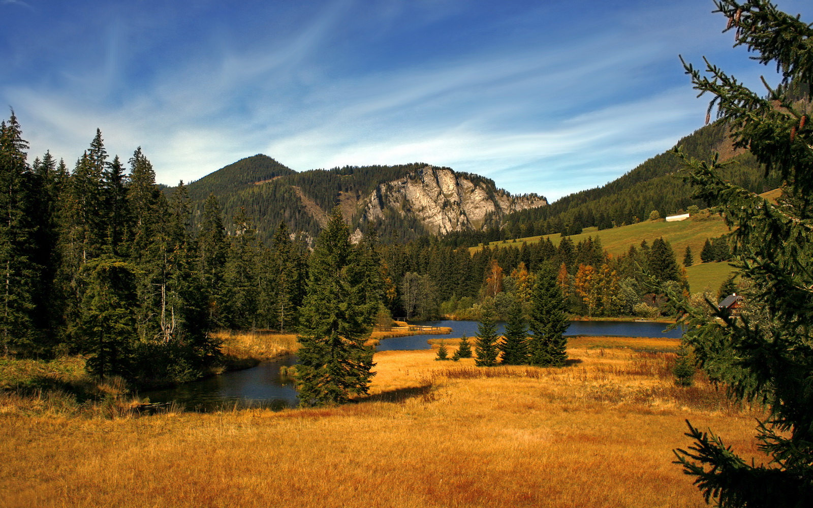 法甲天才闪耀:未来之星展现巨星潜质!,法甲天才中场