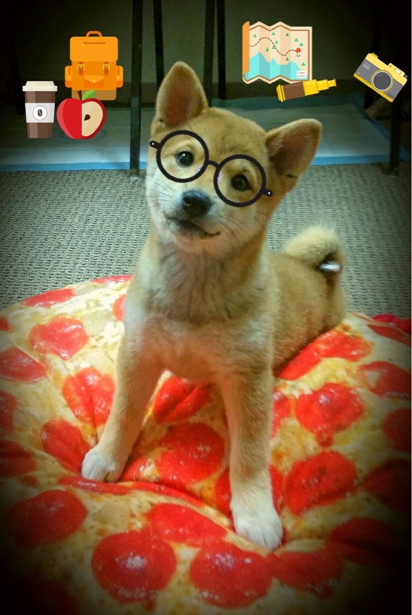 华体会网站-澳大利亚男队转型期仍需时间磨合，澳大利亚男篮队