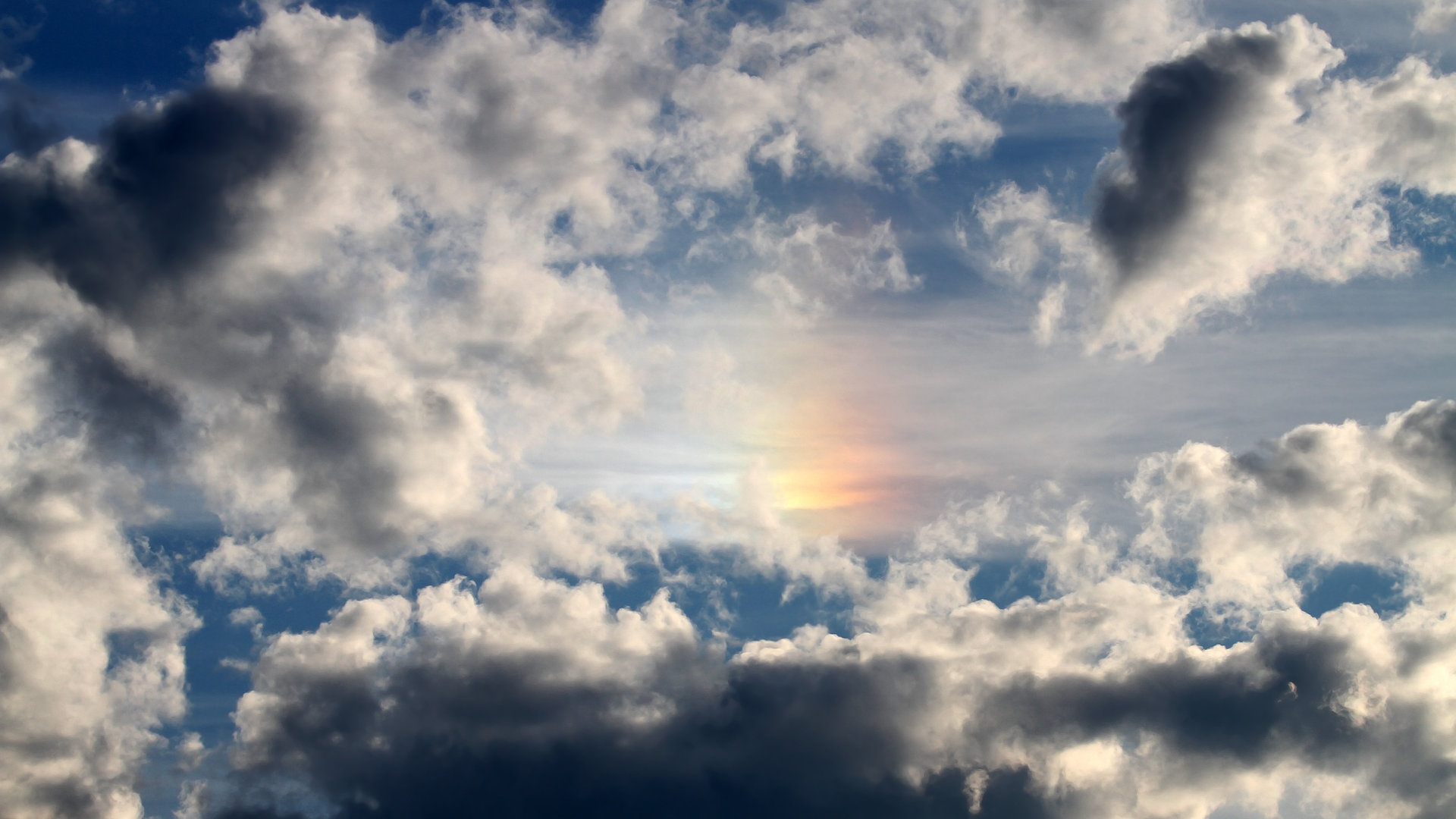 瑞士仰泳强将冲击奖牌,世界仰泳比赛视频高清