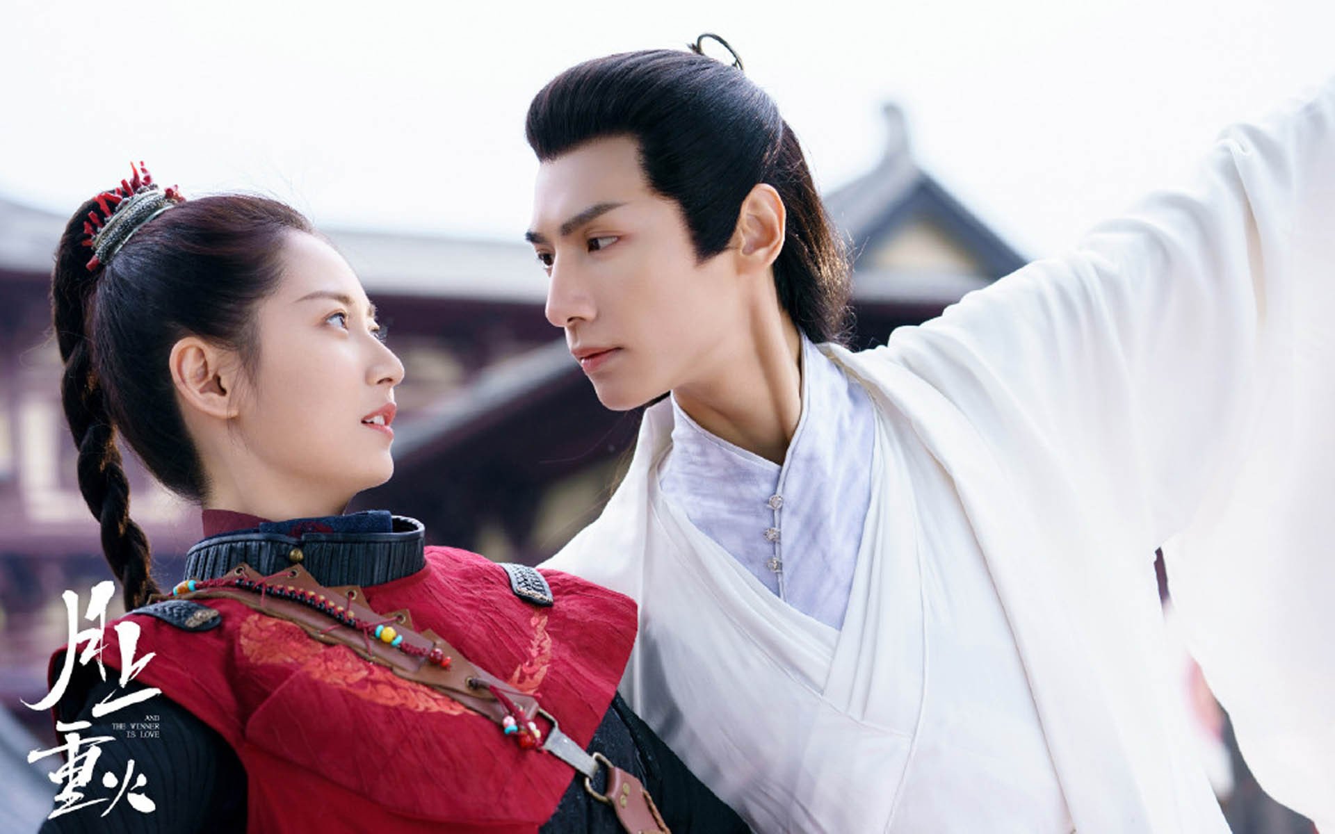 美洲杯经费投入与产出分析,美洲杯赔付率