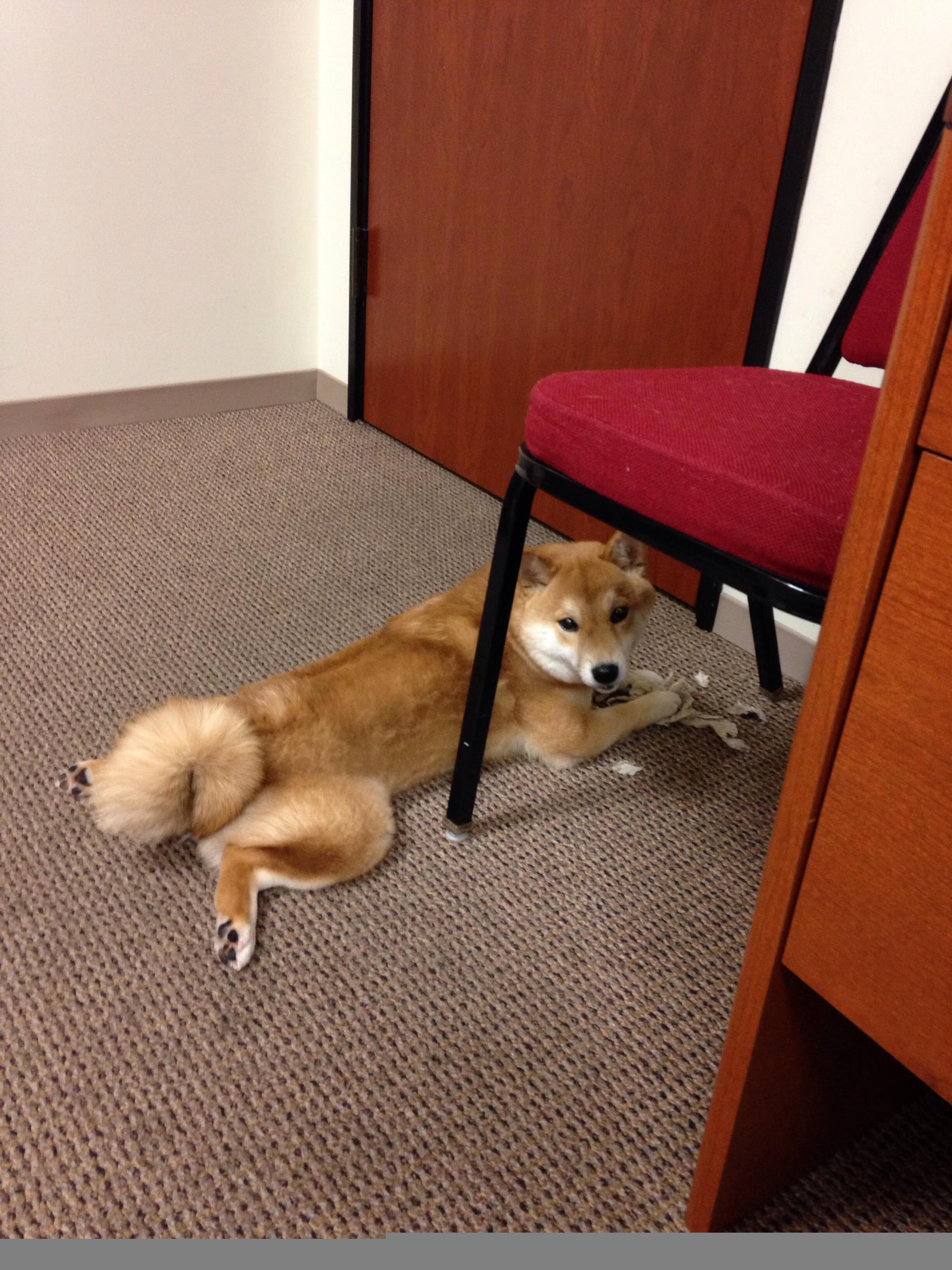 西甲精彩突破:突破防线,精彩得分!,西甲精彩集锦