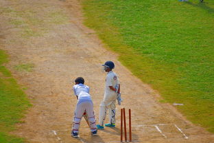 华体会登录-CBA是否推动球员选拔机制透明公平化，cba选择