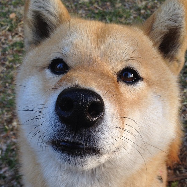 《冠军》专访黄雅琼，圆满靠日积月累，黄雅琼采访视频