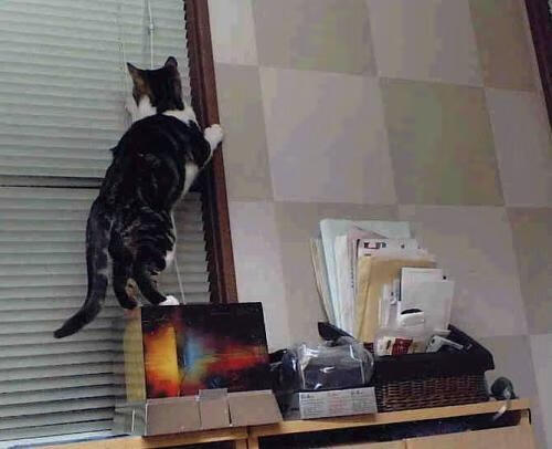 中国足球俱乐部加强对青少年球员的人文素养教育,中国青少年足球俱乐部发展情况